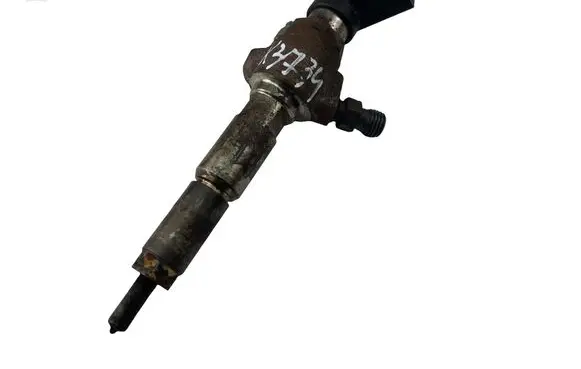 Citroen C4 I Picasso Fuel injector 9674973080