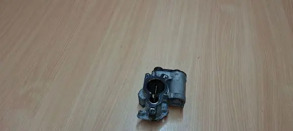 EGR valve