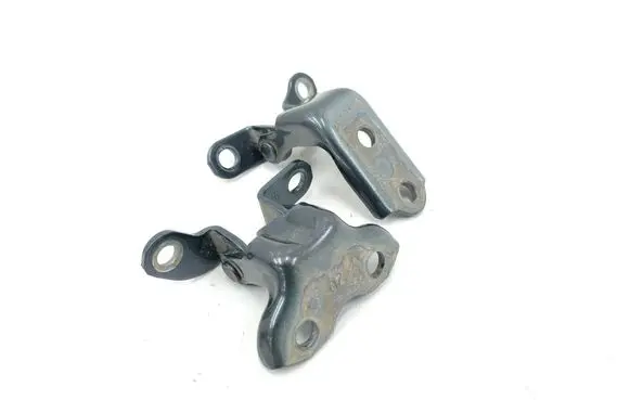 Toyota RAV 4 (XA50) Rear door hinge set 