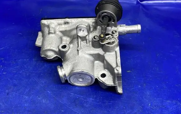 Suzuki Grand Vitara II EGR valve H8200804050 147106293R