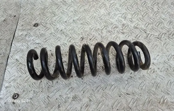 Rear coil spring