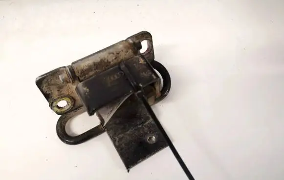 Rear door lower hinge