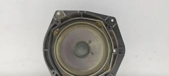 Front door speaker