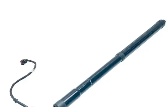 Tailgate/trunk strut/damper