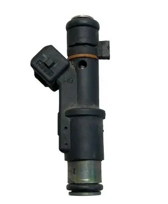 Peugeot 406 Fuel injector 01F004A