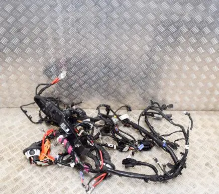 Tesla Model 3 Other wiring loom 156796407C 106876800F