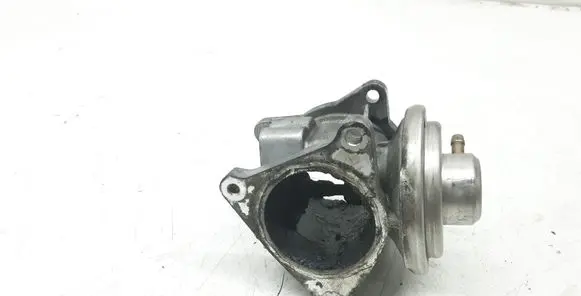 Mitsubishi Grandis EGR valve