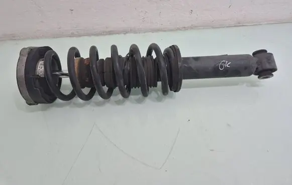 BMW X3 F25 Rear shock absorber with coil spring 6796317
