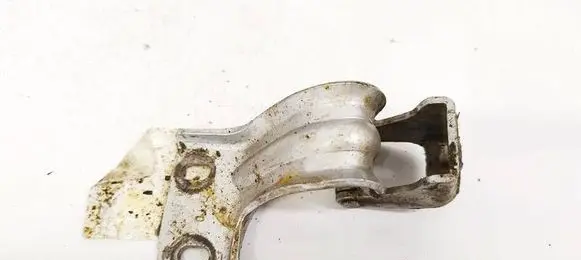 Tailgate/trunk/boot hinge