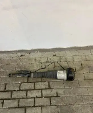 Mercedes-Benz S W221 Rear shock absorber/damper C086106 D7046