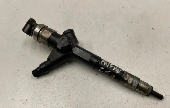 Nissan Pathfinder R51 Fuel injector 16600EB300 02H25745