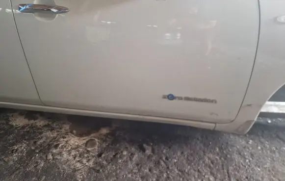 Nissan Leaf I (ZE0) Front door