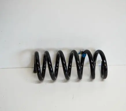 Ford Mustang VI Rear coil spring FR3C5560BE