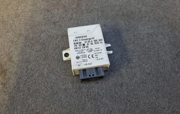 BMW 5 E39 Immobilizer control unit/module 61356905668 05393244 110187