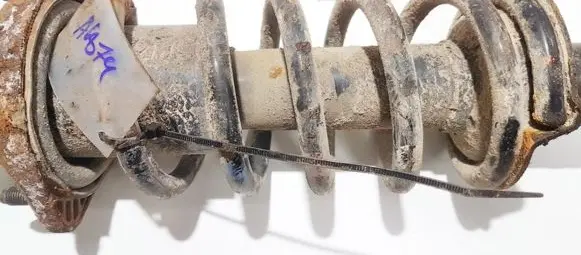 Rear coil spring