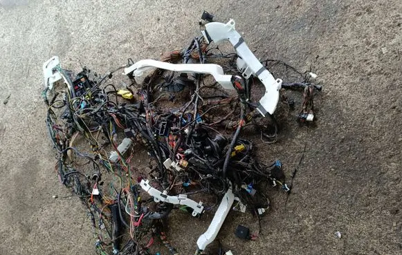 BMW X4 F26 Other wiring loom
