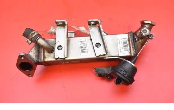 Renault Latitude (L70) EGR valve cooler 8200719993D
