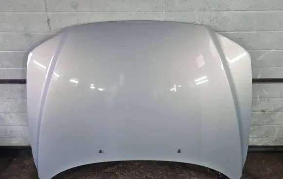Engine bonnet/hood