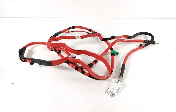 Other wiring loom