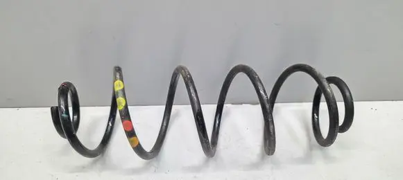 Rear coil spring