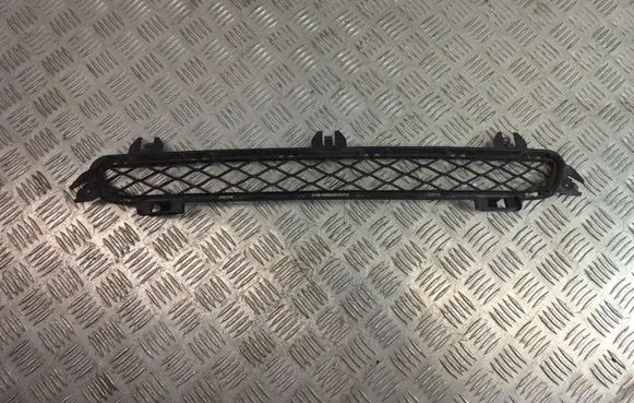 BMW X3 F25 Front bumper lower grill 7210466