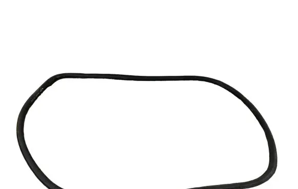 Opel Insignia A Front door rubber seal