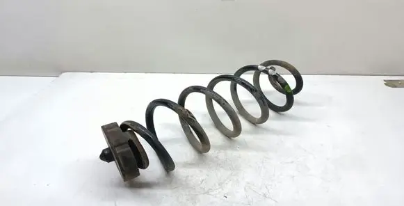 Rear coil spring