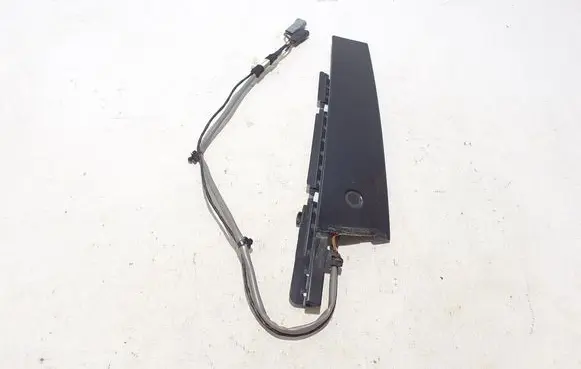 Ford Mach-E I Other front door trim element LJ8BR20899BDW