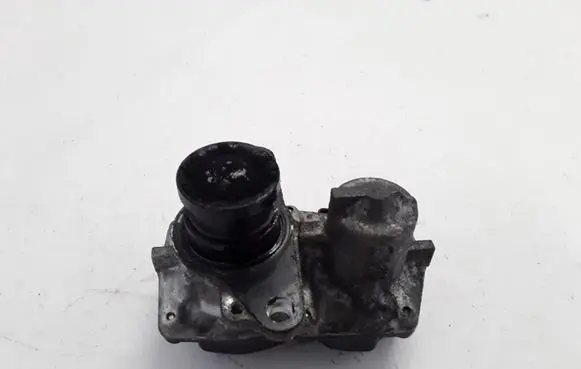 Renault Scenic III - Grand scenic III EGR valve