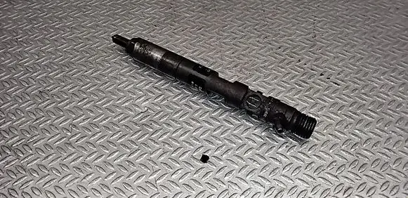 Renault Clio III Fuel injector EJBR01801Z