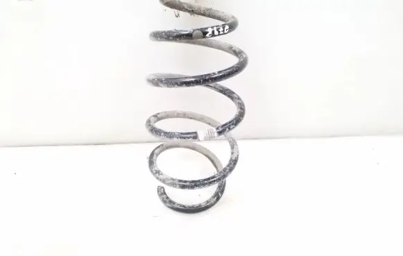 Opel Insignia A Front coil spring