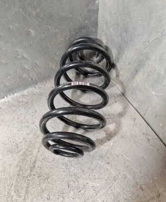Rear coil spring