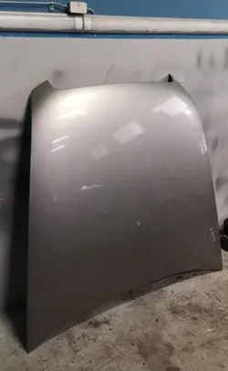 Engine bonnet/hood