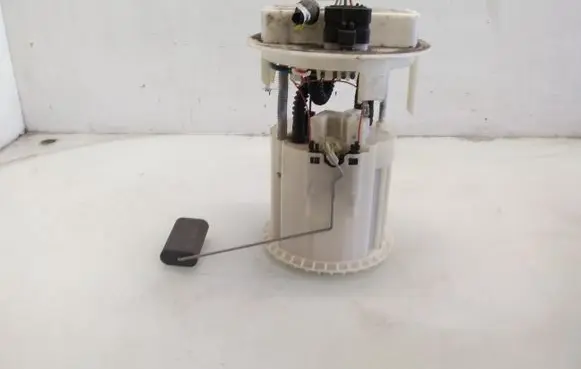 Citroen C3 In-tank fuel pump 0580