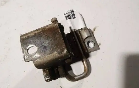 Volkswagen Polo IV 9N3 Rear door lower hinge