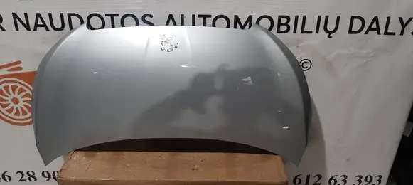 Engine bonnet/hood