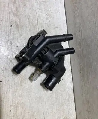 Thermostat/thermostat housing