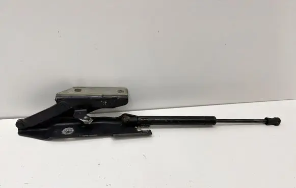 BMW 5 E60 E61 Engine bonnet/hood hinges