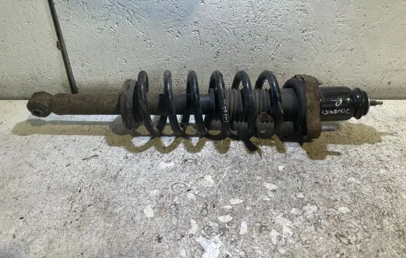 Dodge Journey Rear shock absorber/damper