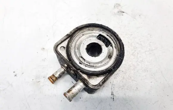 Peugeot 307 Engine oil radiator 9637319180