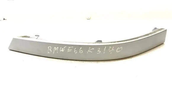 Rear/tail light trim molding