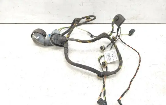 Rear door wiring loom