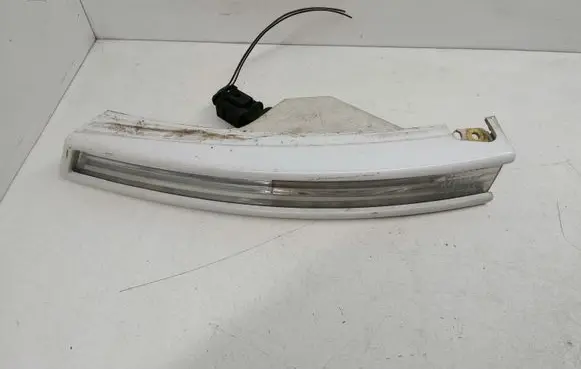 Volkswagen PASSAT B6 Front indicator light 3C0807717 3C0953041L