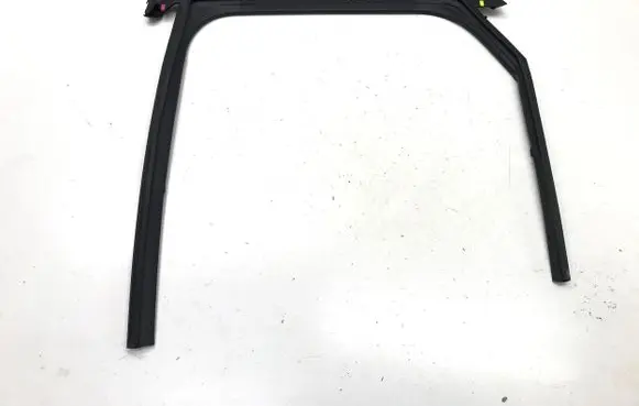 Rear door glass trim molding