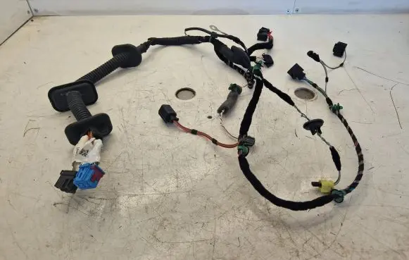 Porsche 911 991 Front door wiring loom 99161260506