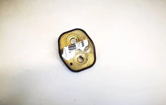 Citroen C3 Front door lock loop/hook striker 