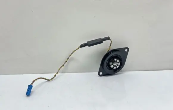 Front door high frequency speaker