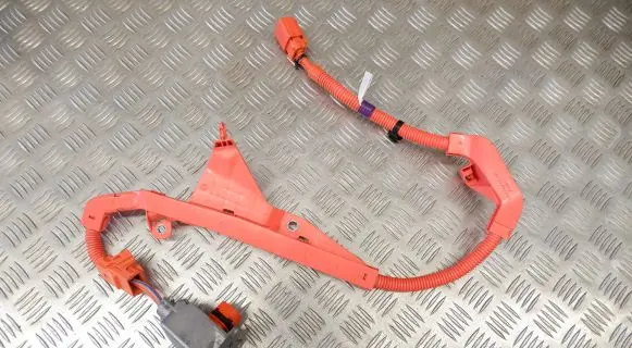 Toyota Highlander XU70 Other wiring loom 821H20E030