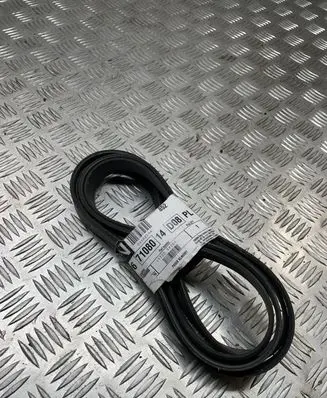 Nissan Navara Alternator belt 11720-5X20A