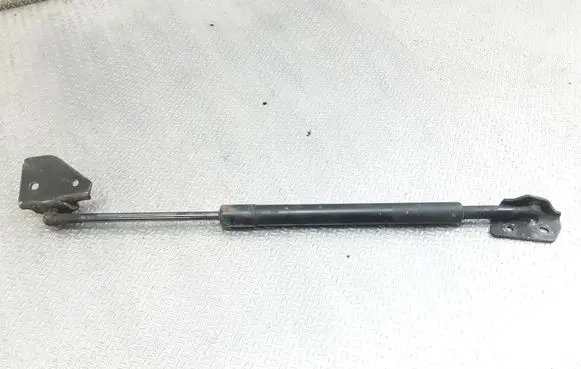 Tailgate/trunk strut/damper